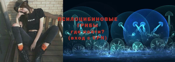 spice Алексеевка