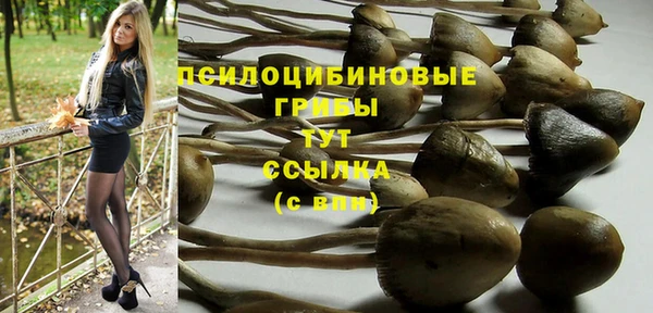 spice Алексеевка