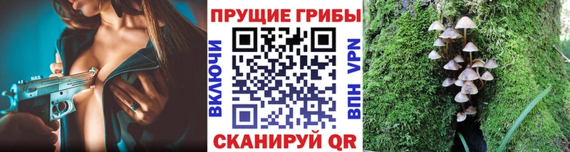 цена   Чадан  Галлюциногенные грибы Magic Shrooms 